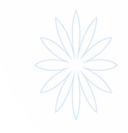 杏耀娱乐|官网